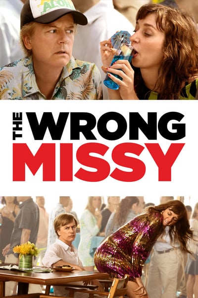 The Wrong Missy 2020 MultiSub 720p x264-StB